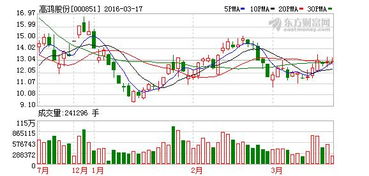 高鴻股份 教育信息化業(yè)務(wù)進(jìn)入推廣階段，技術(shù)開(kāi)發(fā)驅(qū)動(dòng)軟硬件協(xié)同